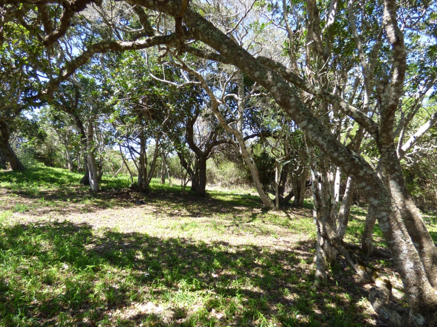 0 Bedroom Property for Sale in Kleinemonde Eastern Cape